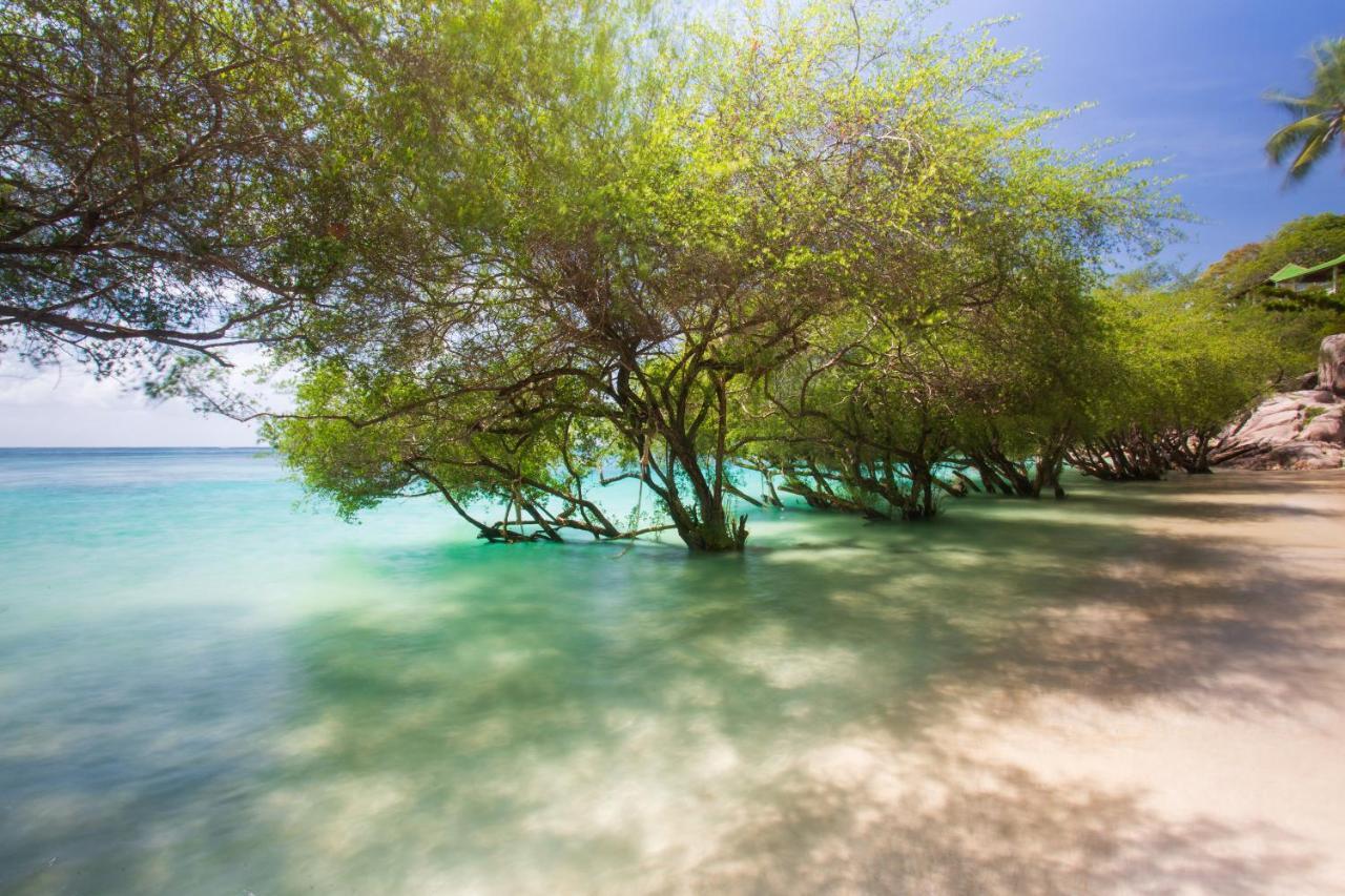 Koh Tao Relax Freedom Beach Resort Luaran gambar
