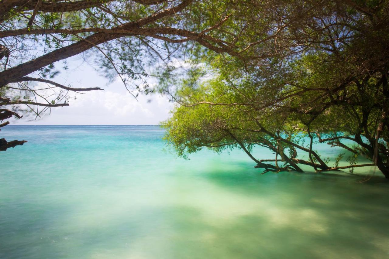Koh Tao Relax Freedom Beach Resort Luaran gambar